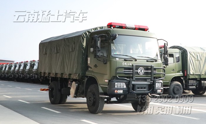 液壓尾板車,電動(dòng)升降圍板車,物流倉儲(chǔ)車,港口貨物運(yùn)輸車,東風(fēng)天錦專用車,DFH1180,18噸物流車